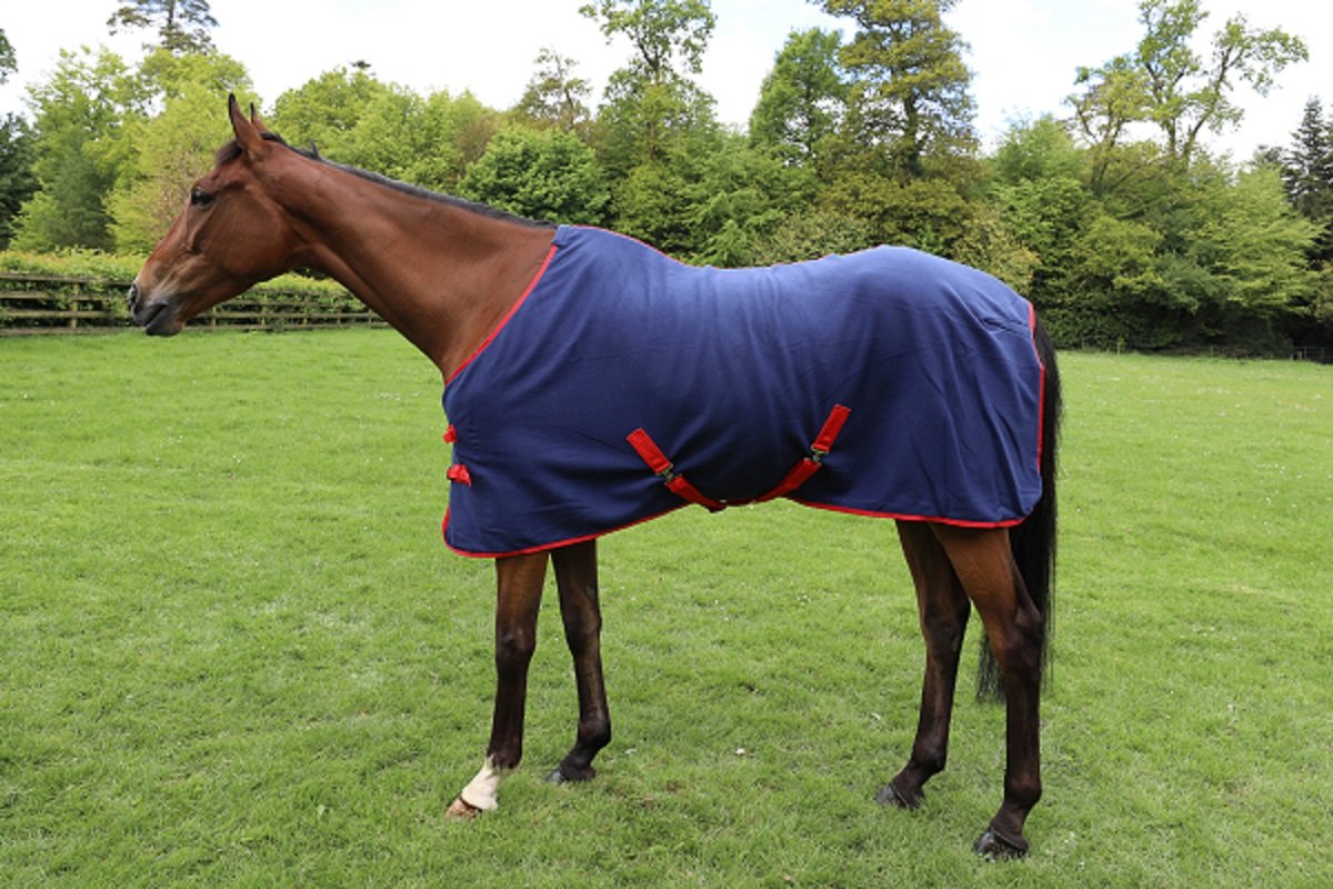 Celtic Equine Fleece > Coolers, Fleece & Stable Sheets > Orchard ...