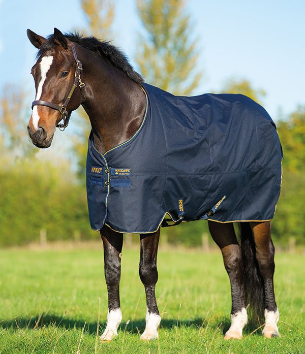 Horseware Amigo 12 Bravo XL Original Turnout 250g Medium