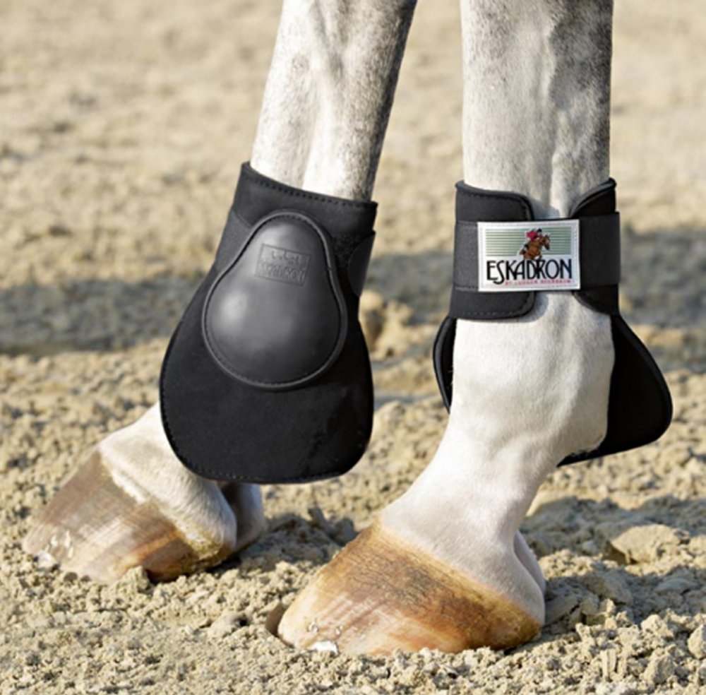 Eskadron Fetlock Boots Special Horse Boots Bandages Orchard