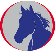 EquiMax LV Wormer – AJ Equestrian
